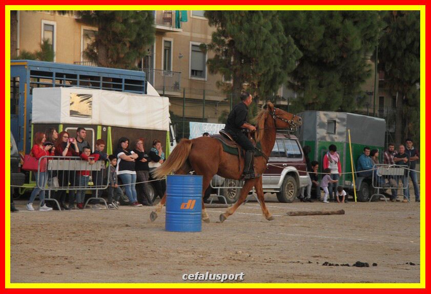 161106 equestre 062_tn.jpg